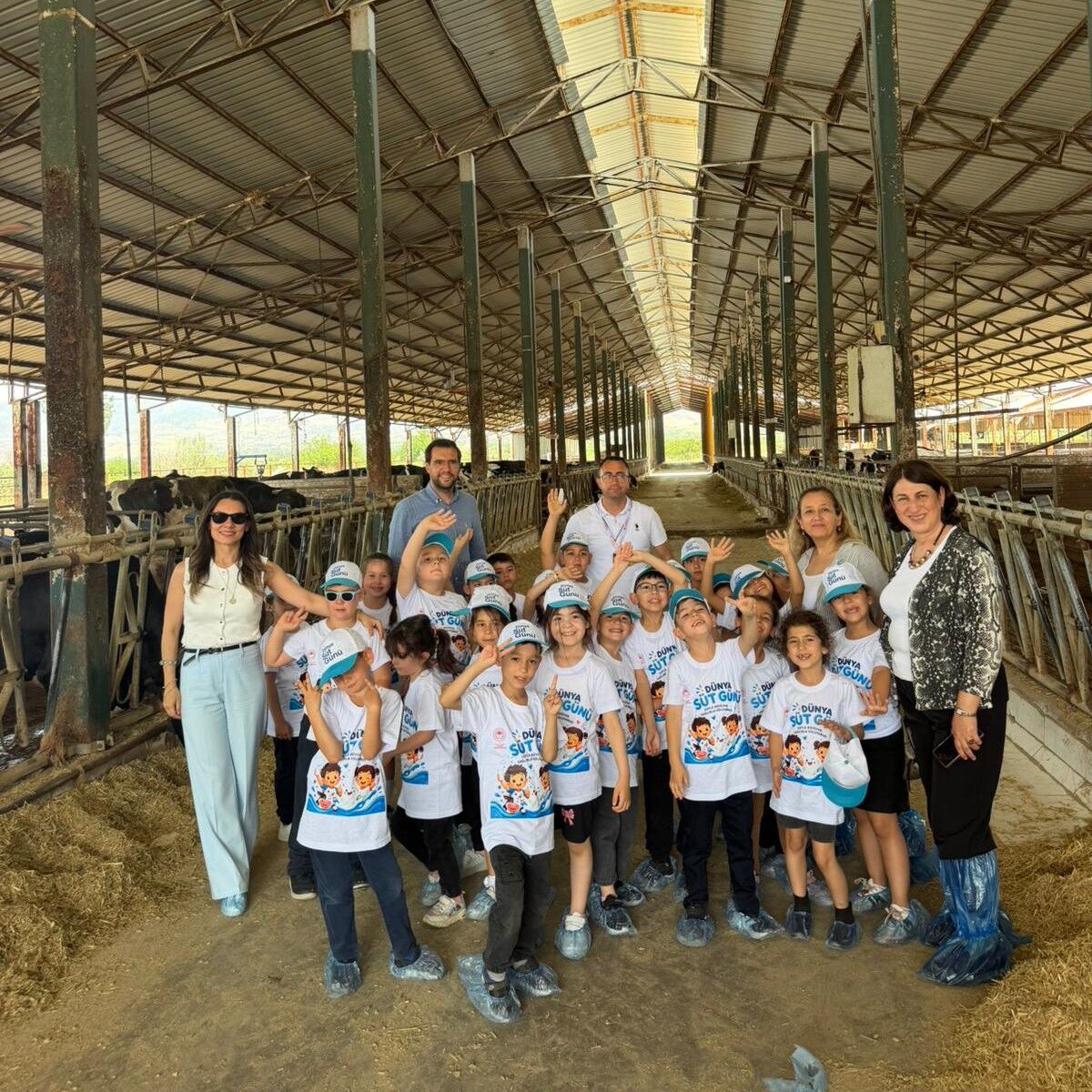 Denizli Haber Sütjpg (4)