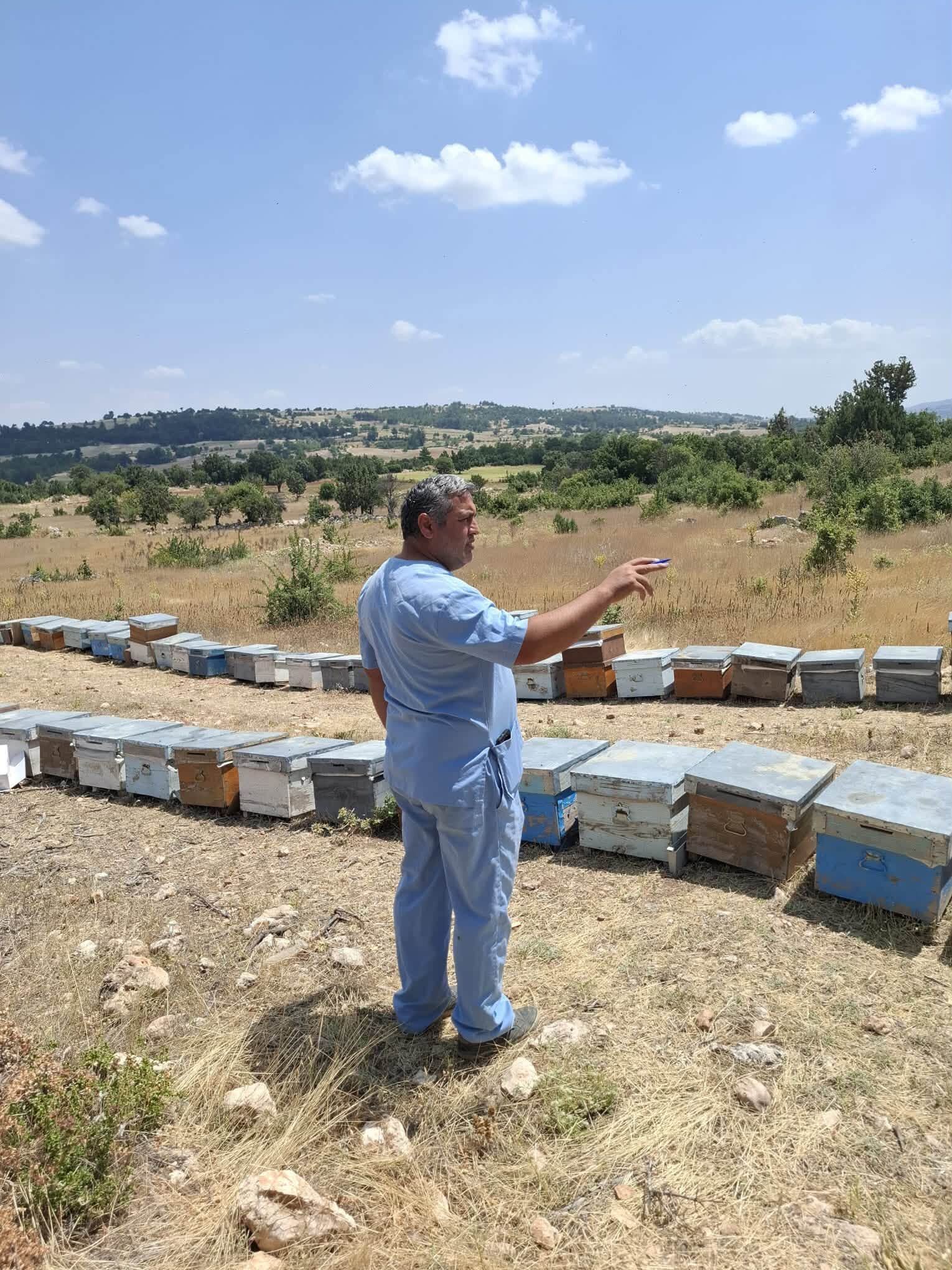 1Denizli Haber Arı (3)