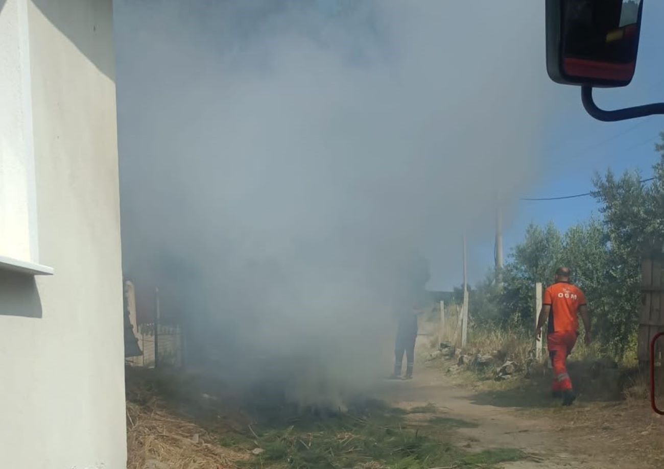 Denizli Haber Anızyangını (1)