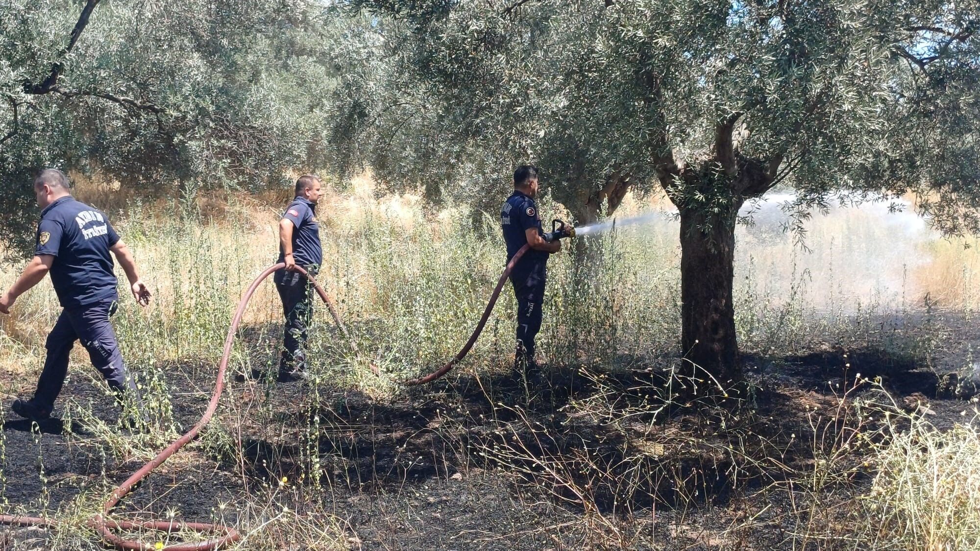 Denizli Haber Aydınyangın (2)-1