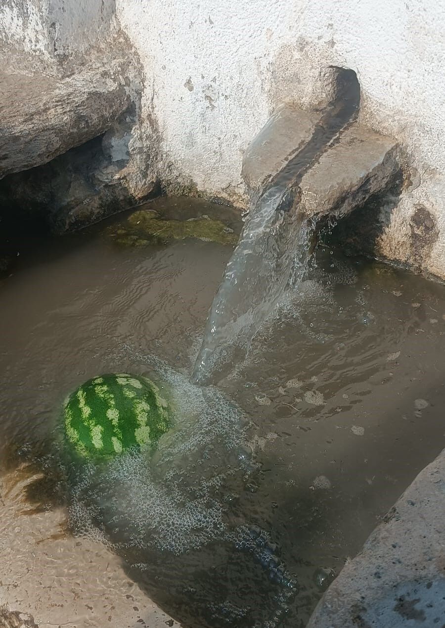 Denizli Haber Çeşme (3)