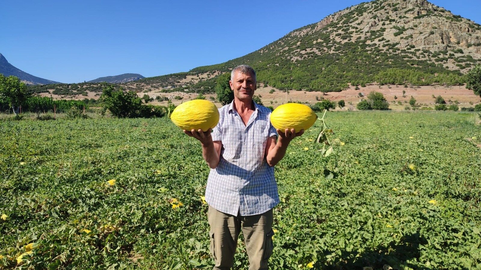 Denizli Haber Dodurgakarpuzuhasat (1)