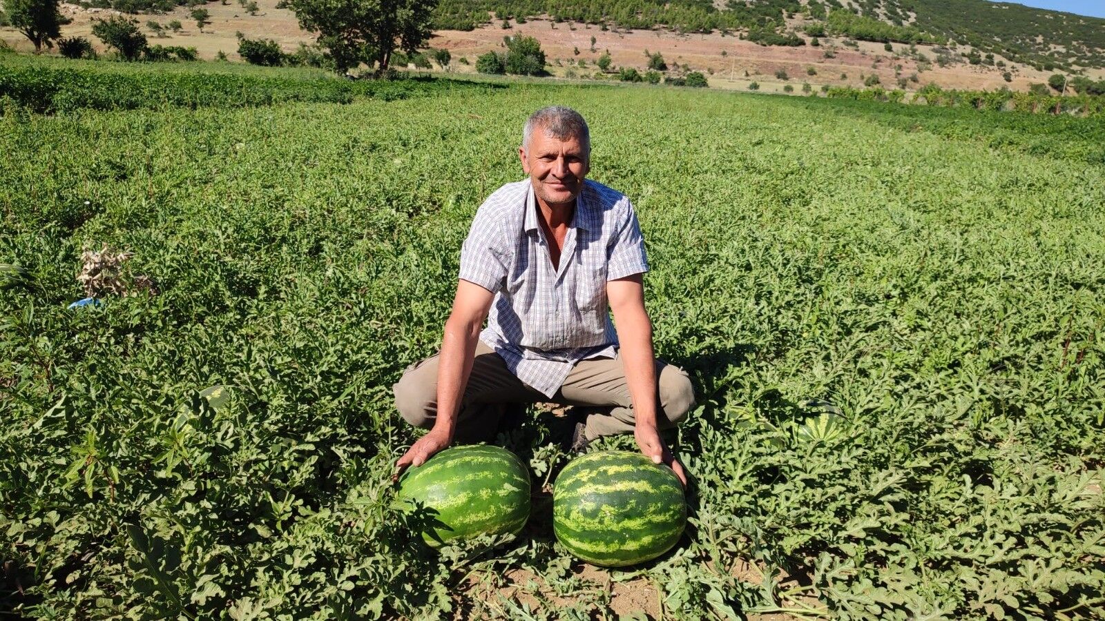 Denizli Haber Dodurgakarpuzuhasat (2)