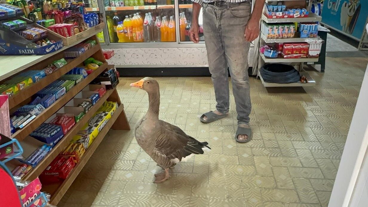 Denizli Haber Dostluk