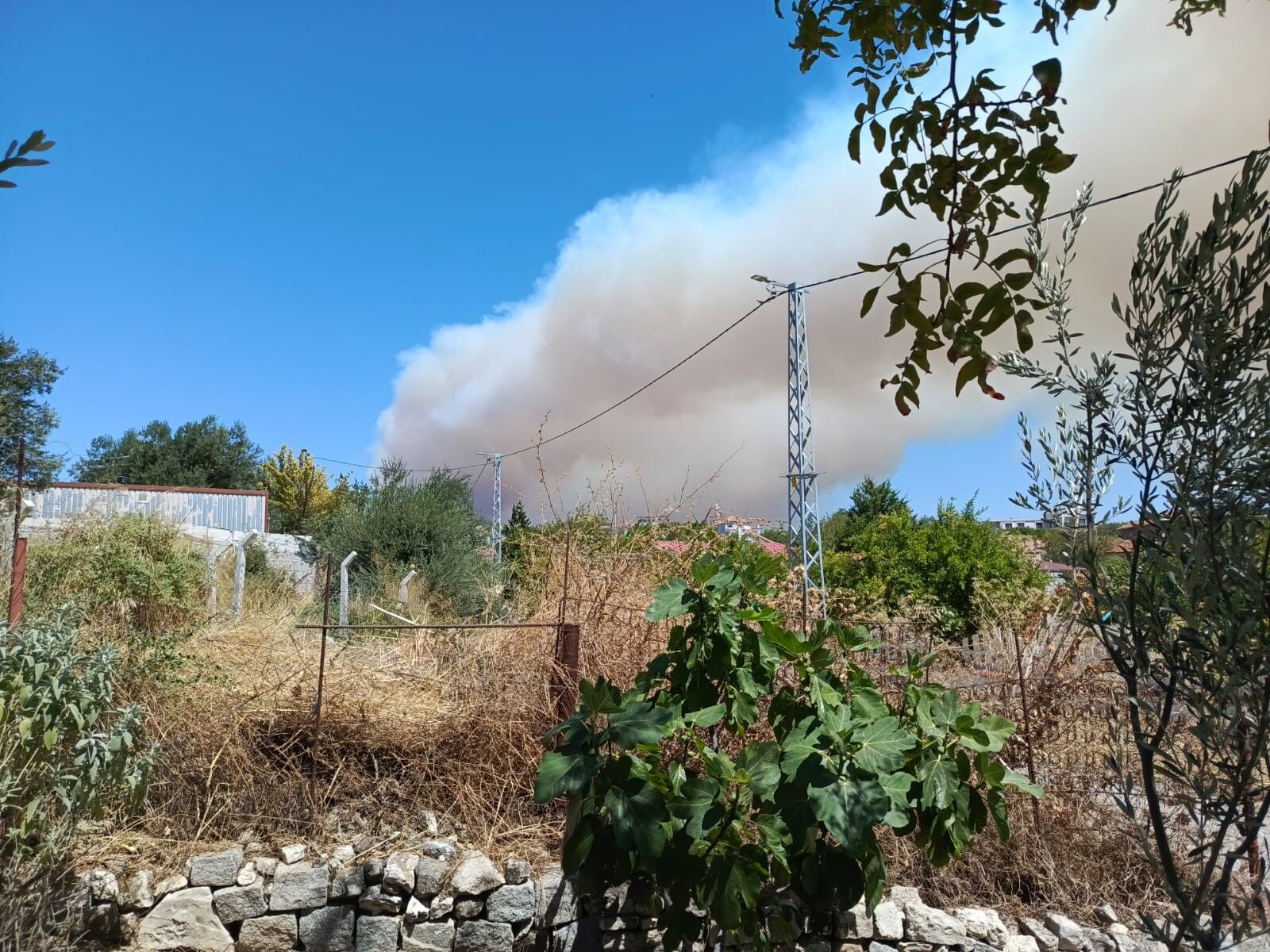 Denizli Haber Gömeçyangın (2)