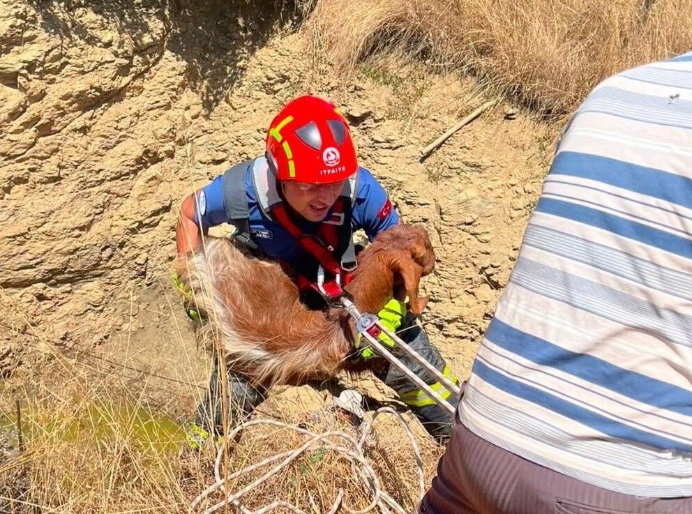 Denizli Haber Kalekurtarıldı