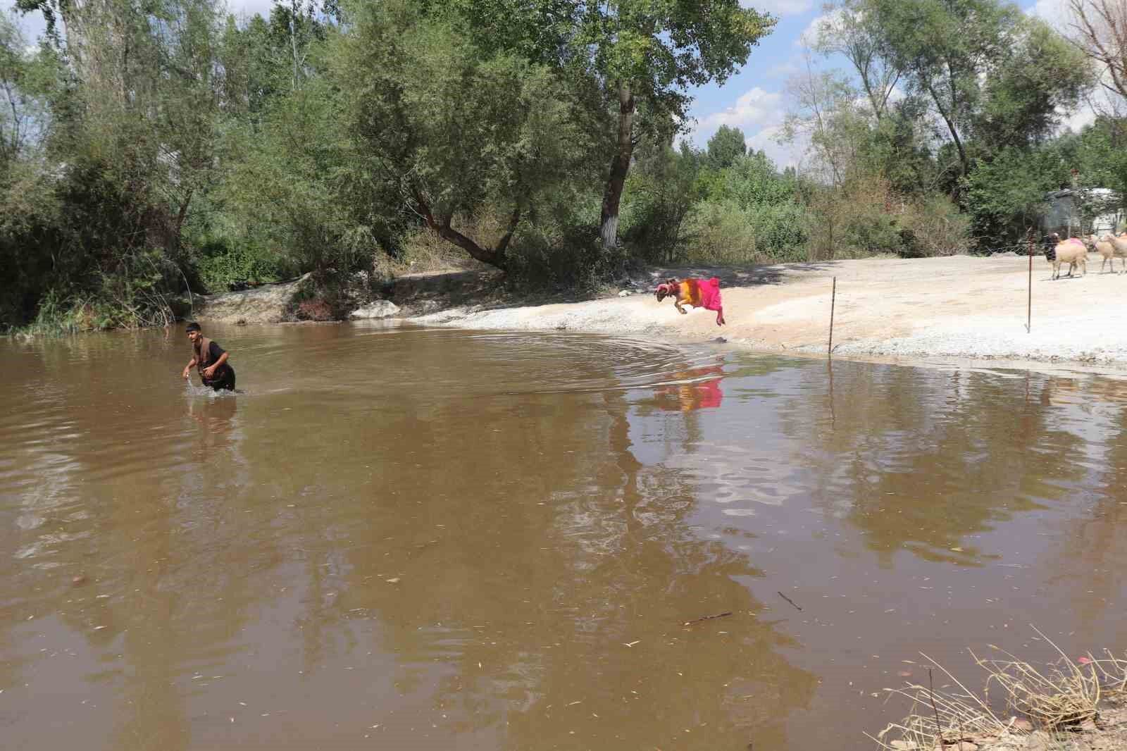 Denizli Haber Kınalı (2)