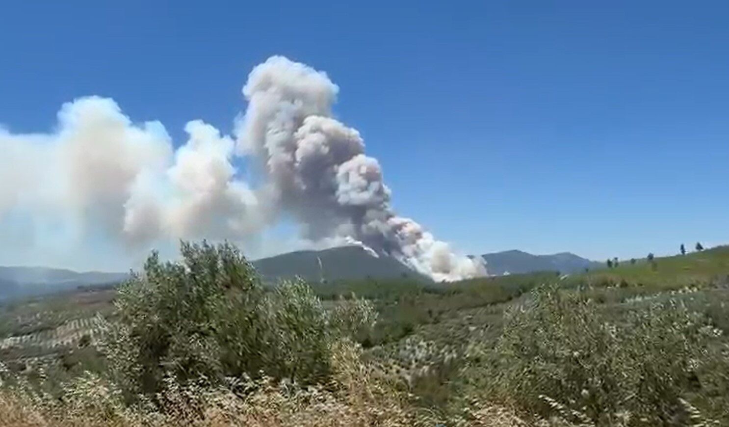 Denizli Haber Manisayangın