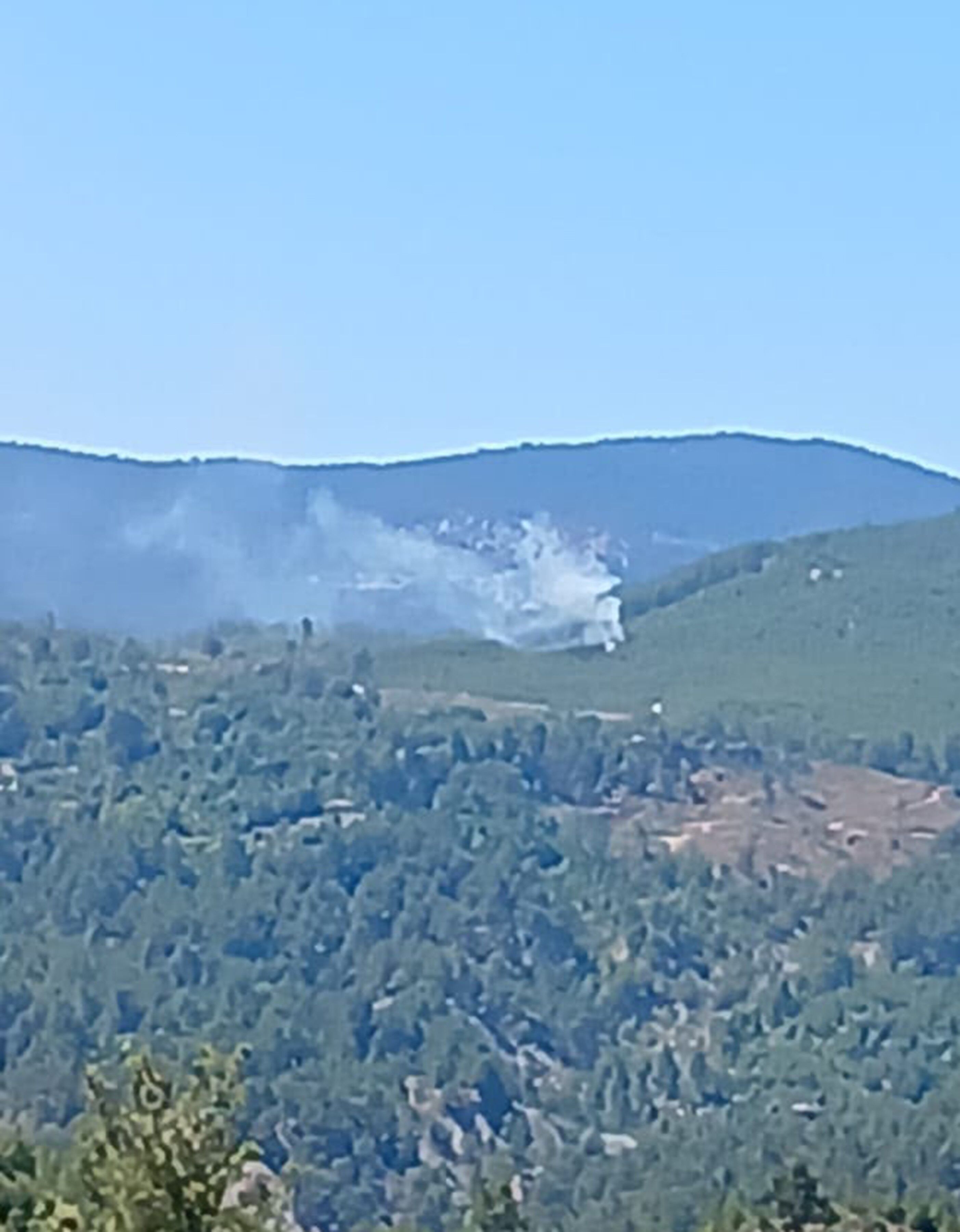 Denizli Haber Orman Yangını-7