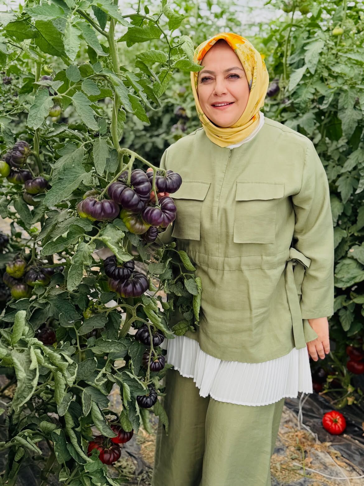 Denizlihaberrenkli2