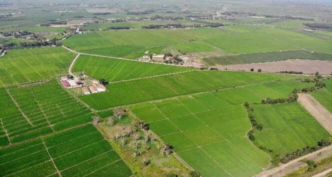 Denizli Haber Arazi2