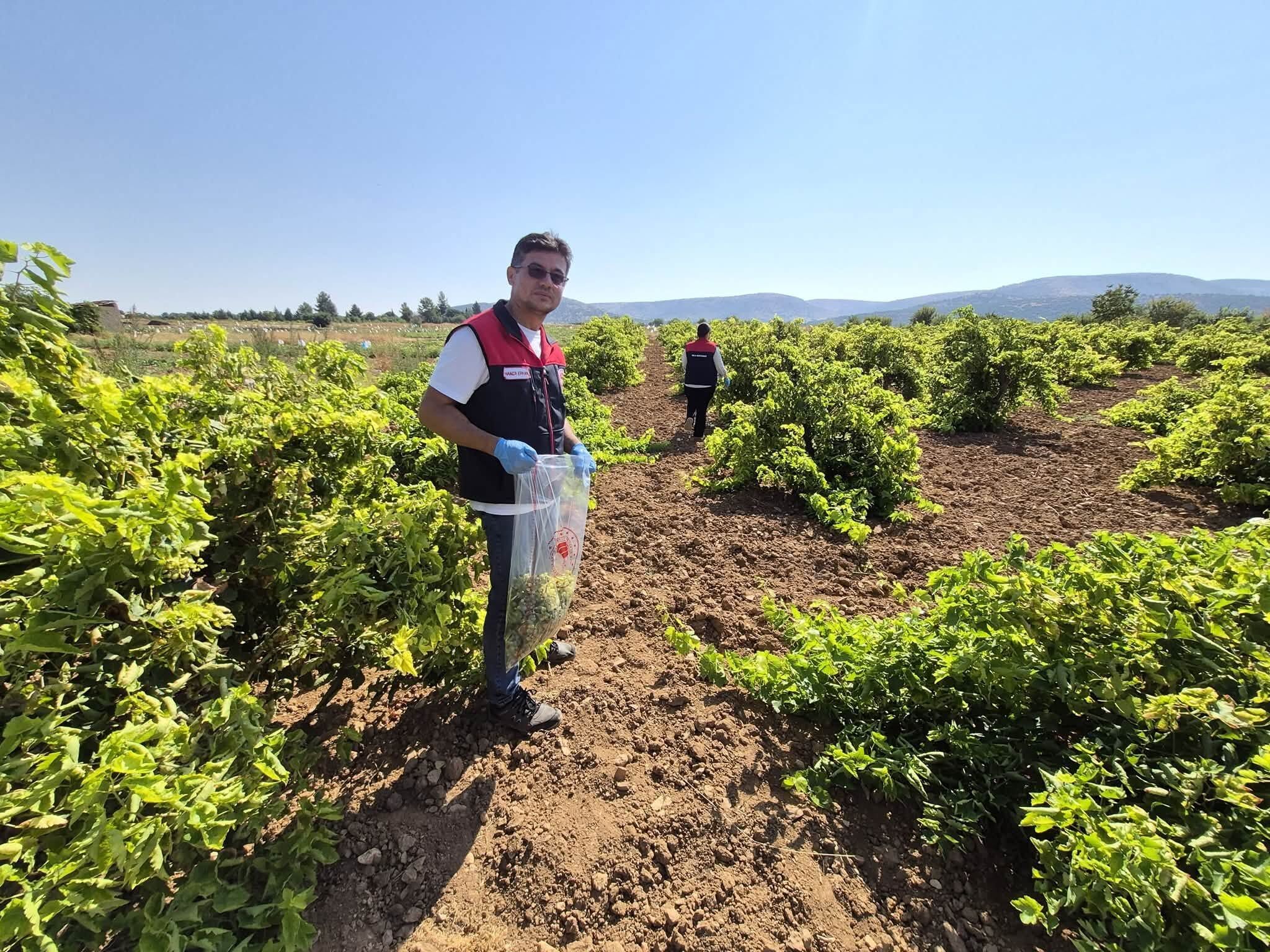 Denizli Haber Bekilli Pestit Denetim (1)