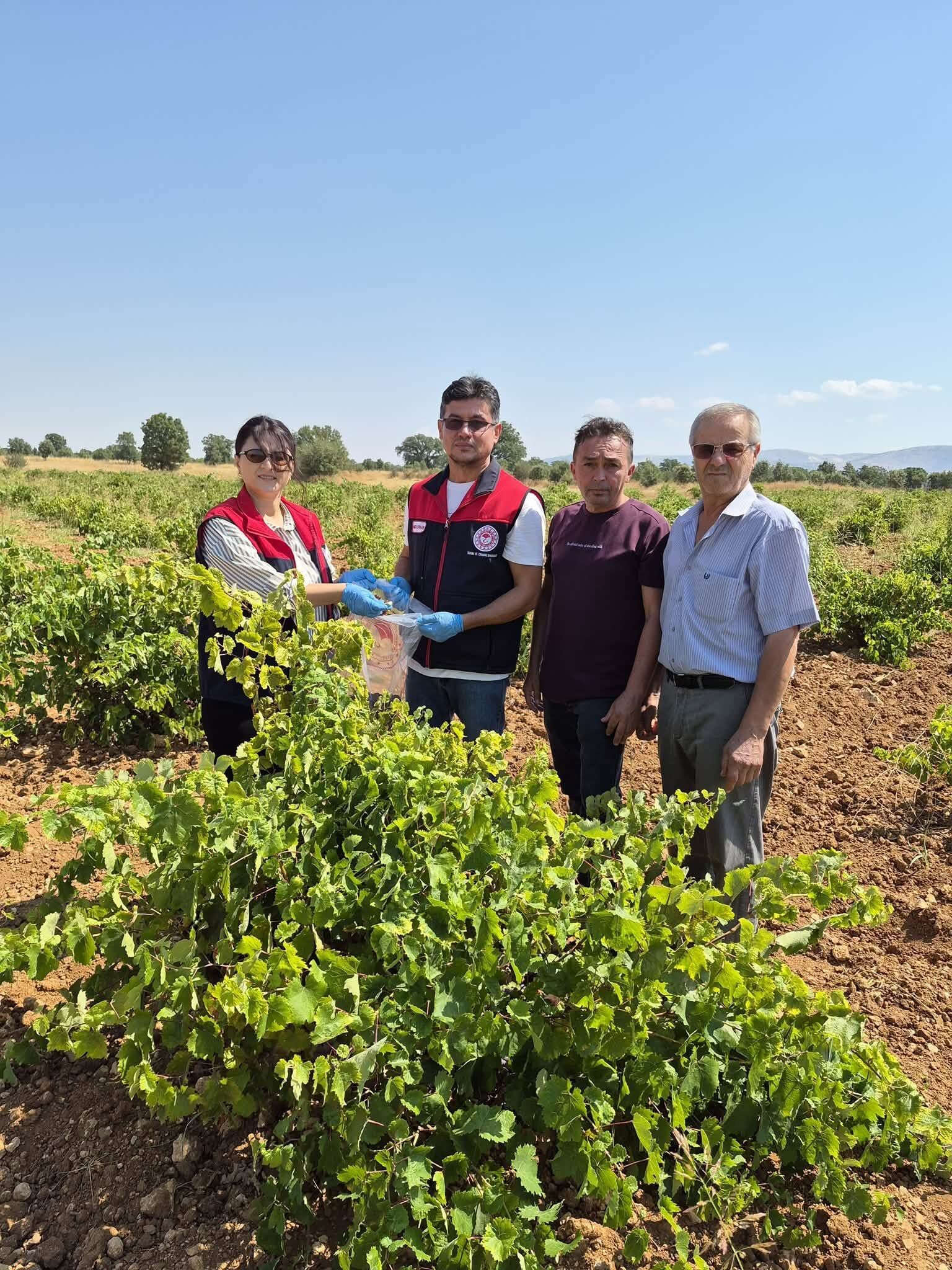 Denizli Haber Bekilli Pestit Denetim (3)