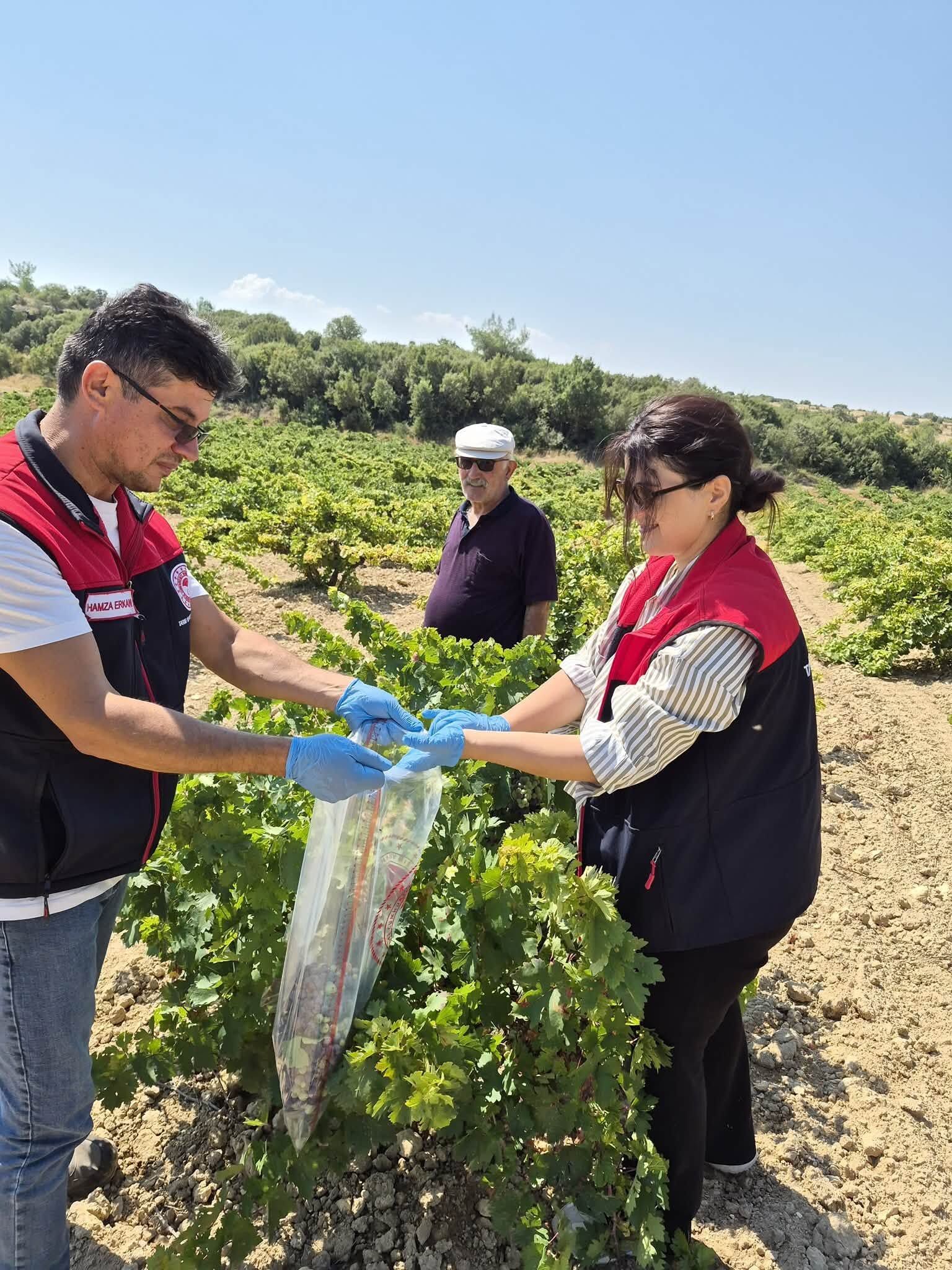 Denizli Haber Bekilli Pestit Denetim (4)