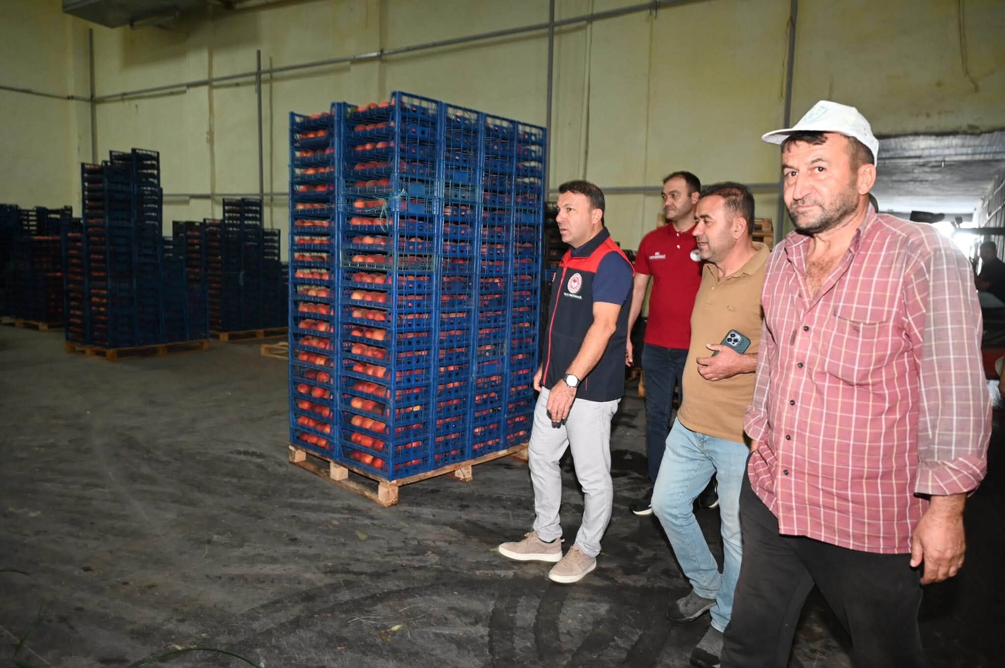 Denizli Haber Çivril Şeftali (5)