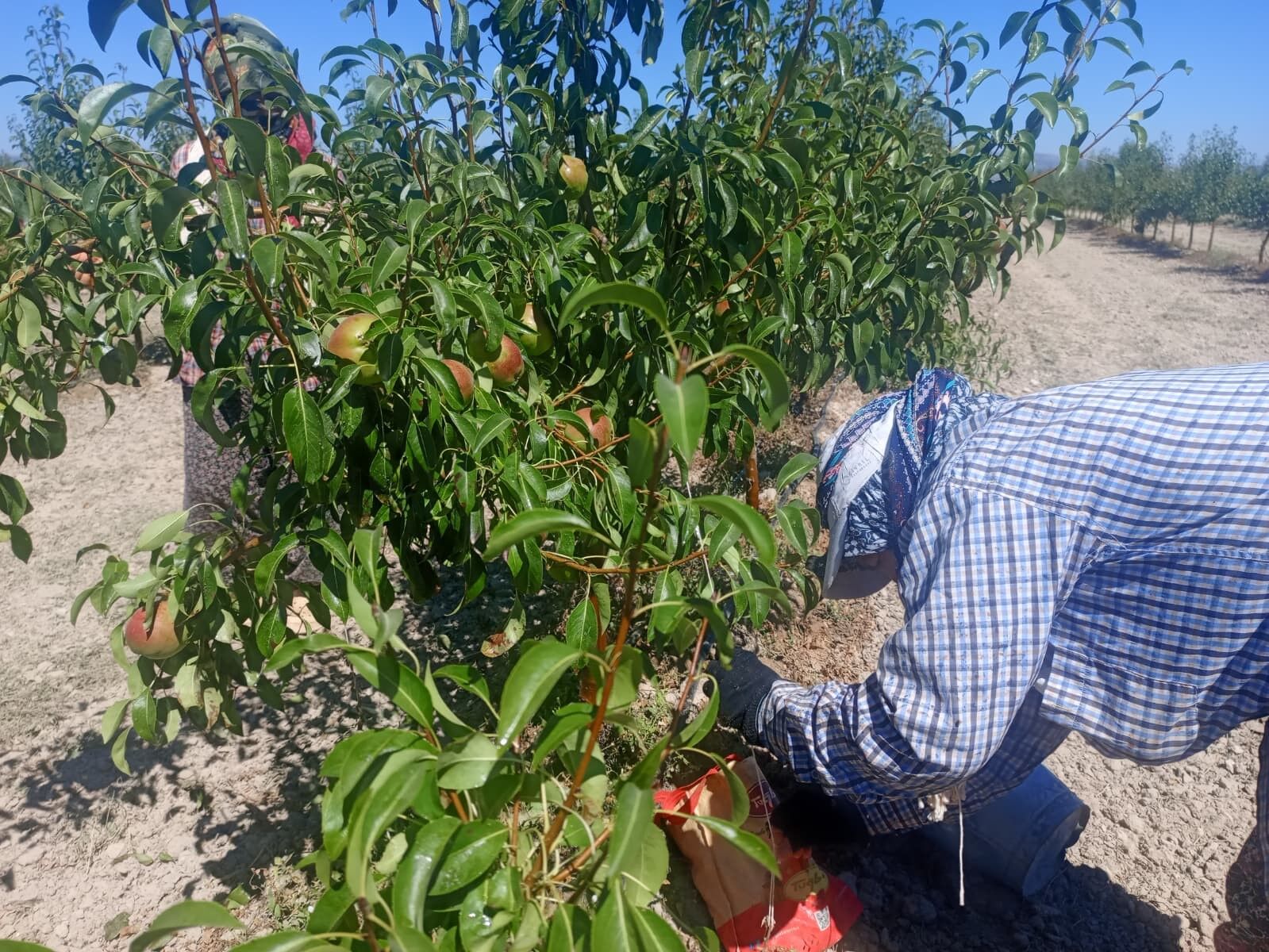 Denizli Haber Çivril7 (2)