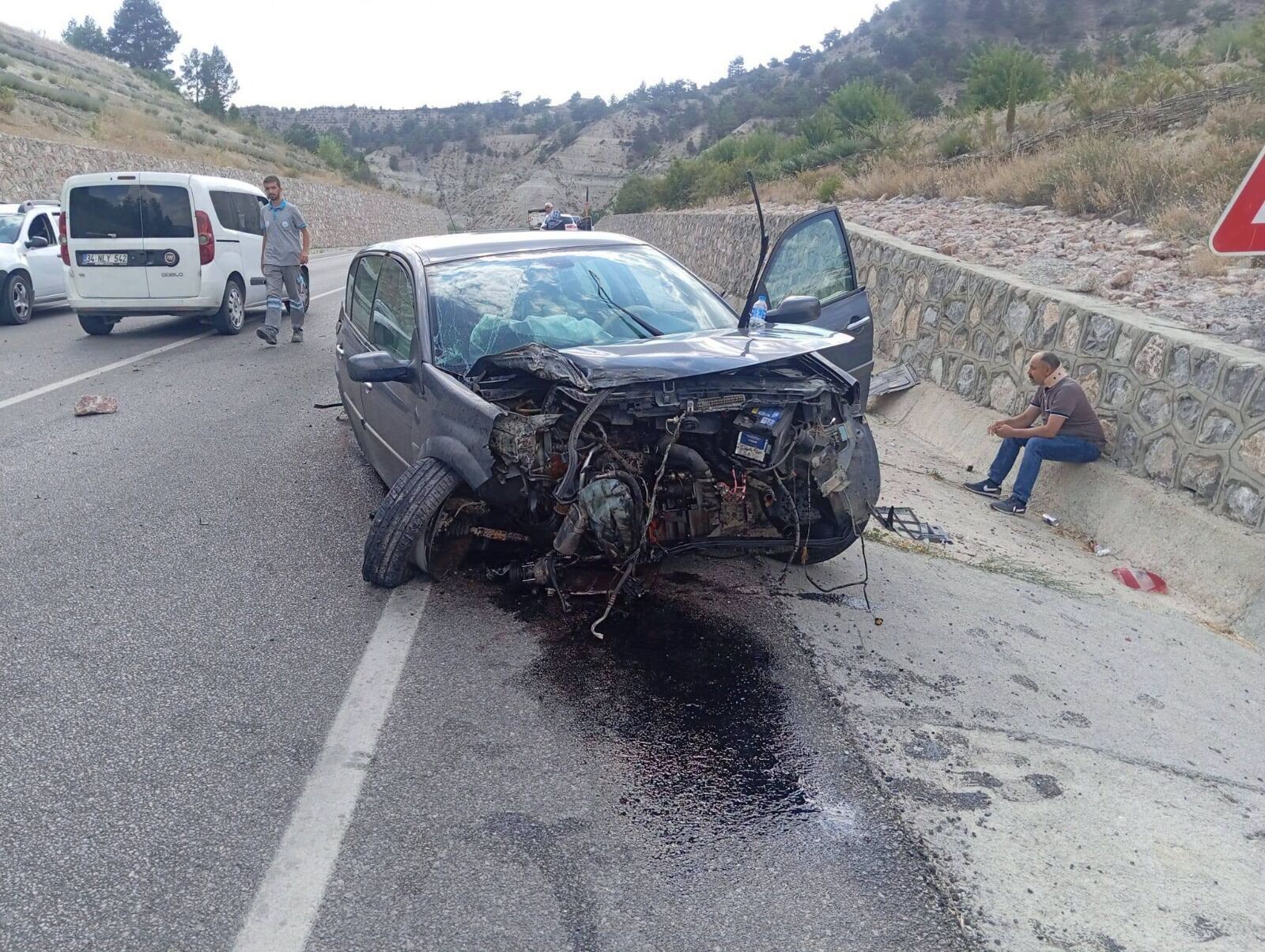 Denizli Haber Kaza Çameli-1