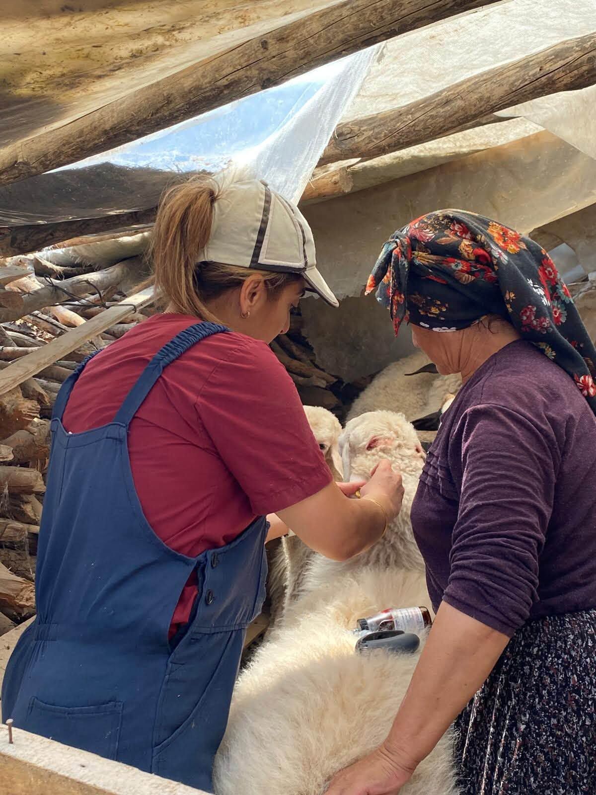 Denizli Haber Küpeleme Çalışmaları (2)