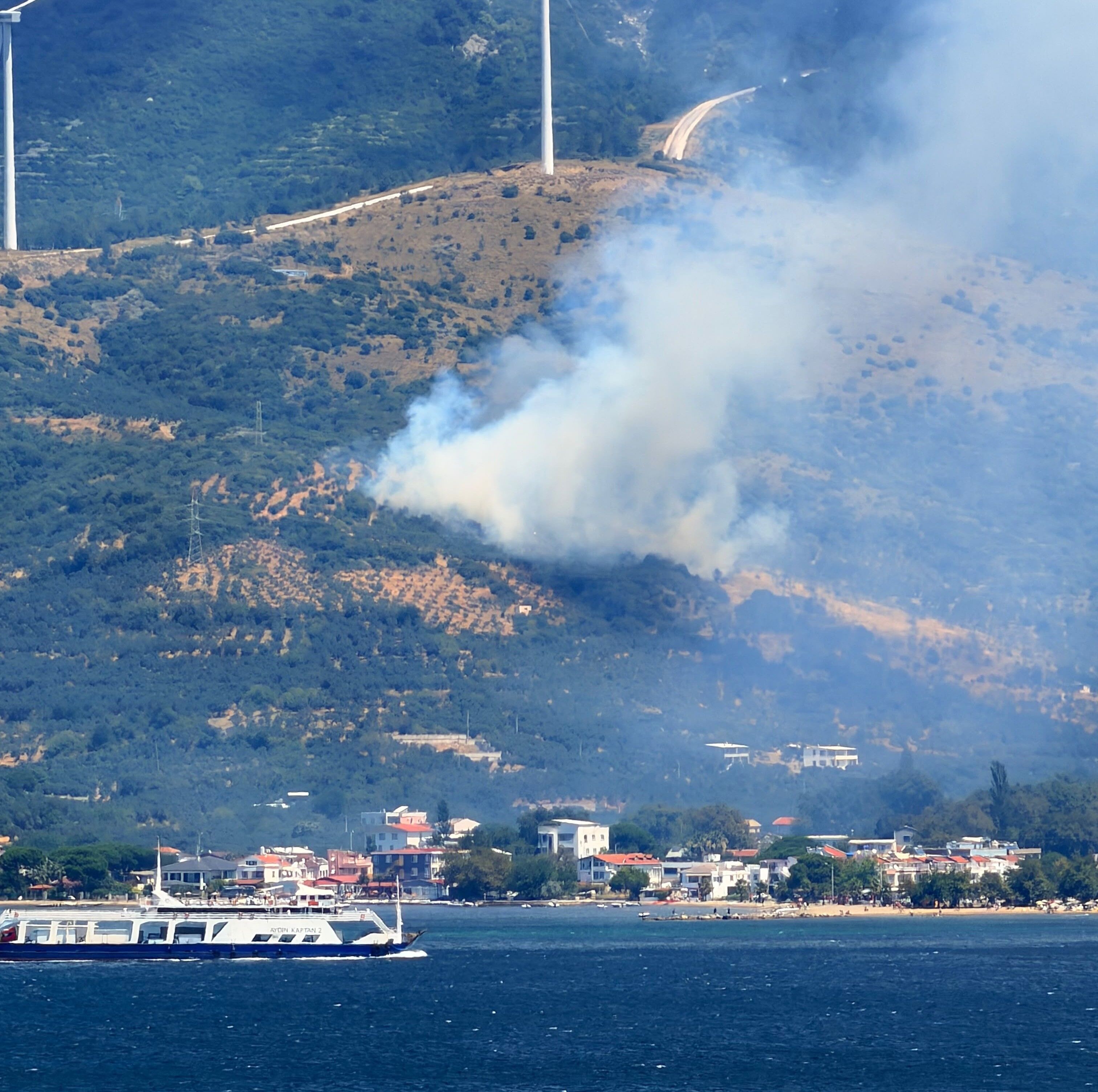 Denizli Haber Marmara Yangın (1)