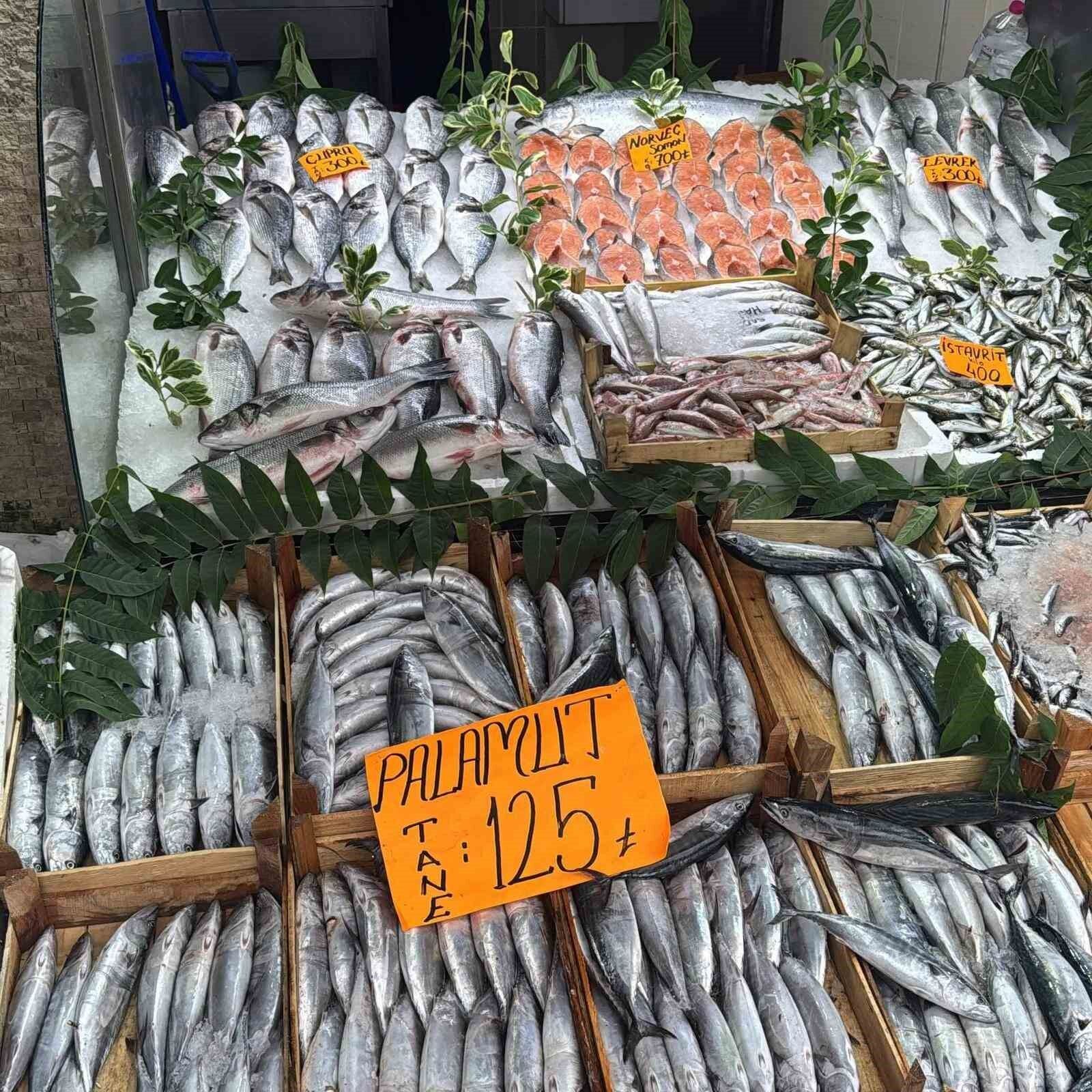 Denizli Haber Palmut2