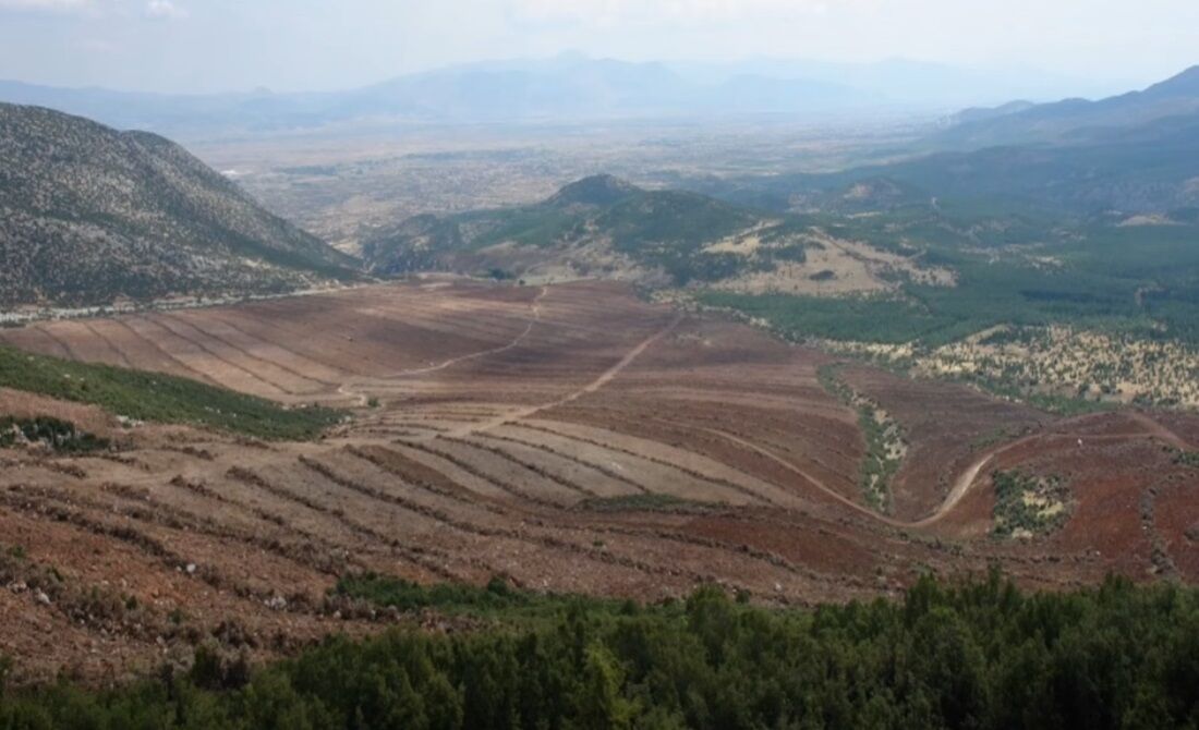 Denizlihaber Orman0806