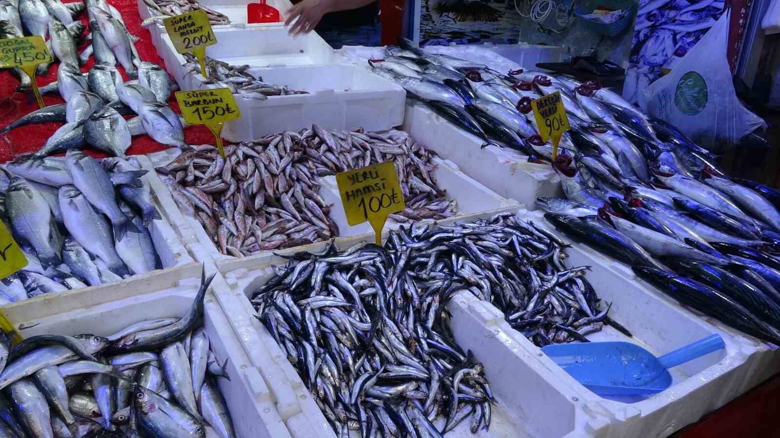 Denizli Haber Balık333