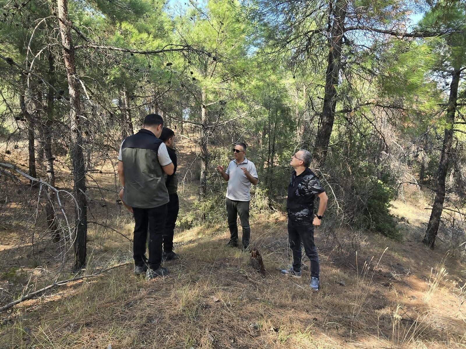 Denizli Haber Çal Da Ormancılık (4)