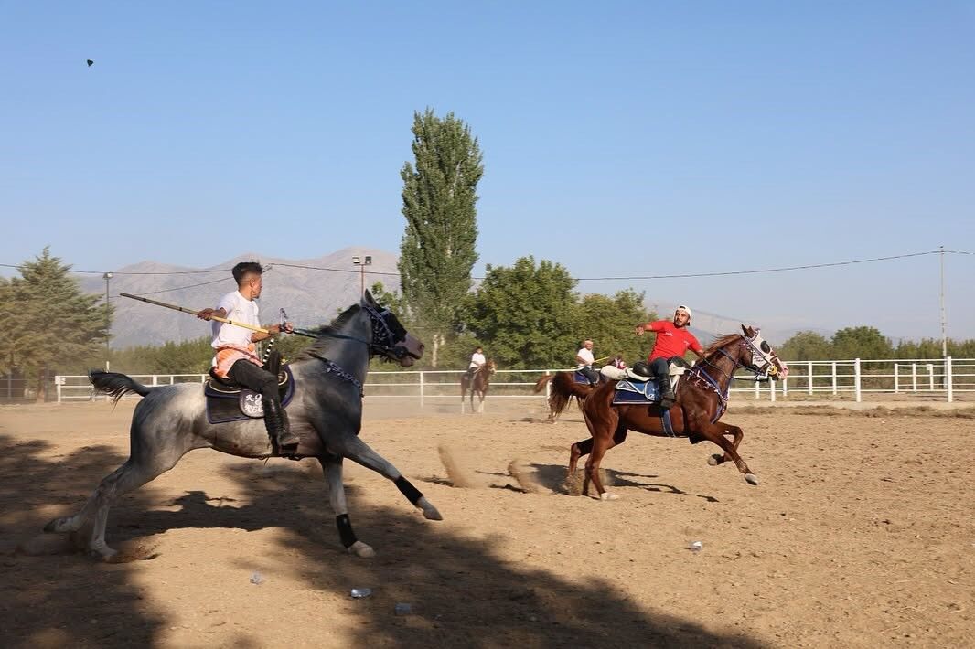Denizli Haber Ciritgösterileri (1)