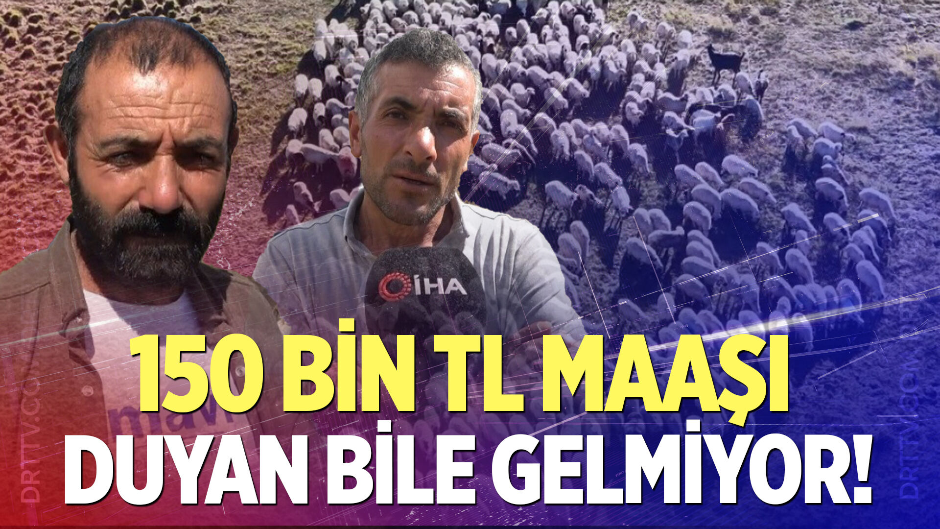 Çoban maaşları dudak uçuklattı, ama sorun çözülmedi