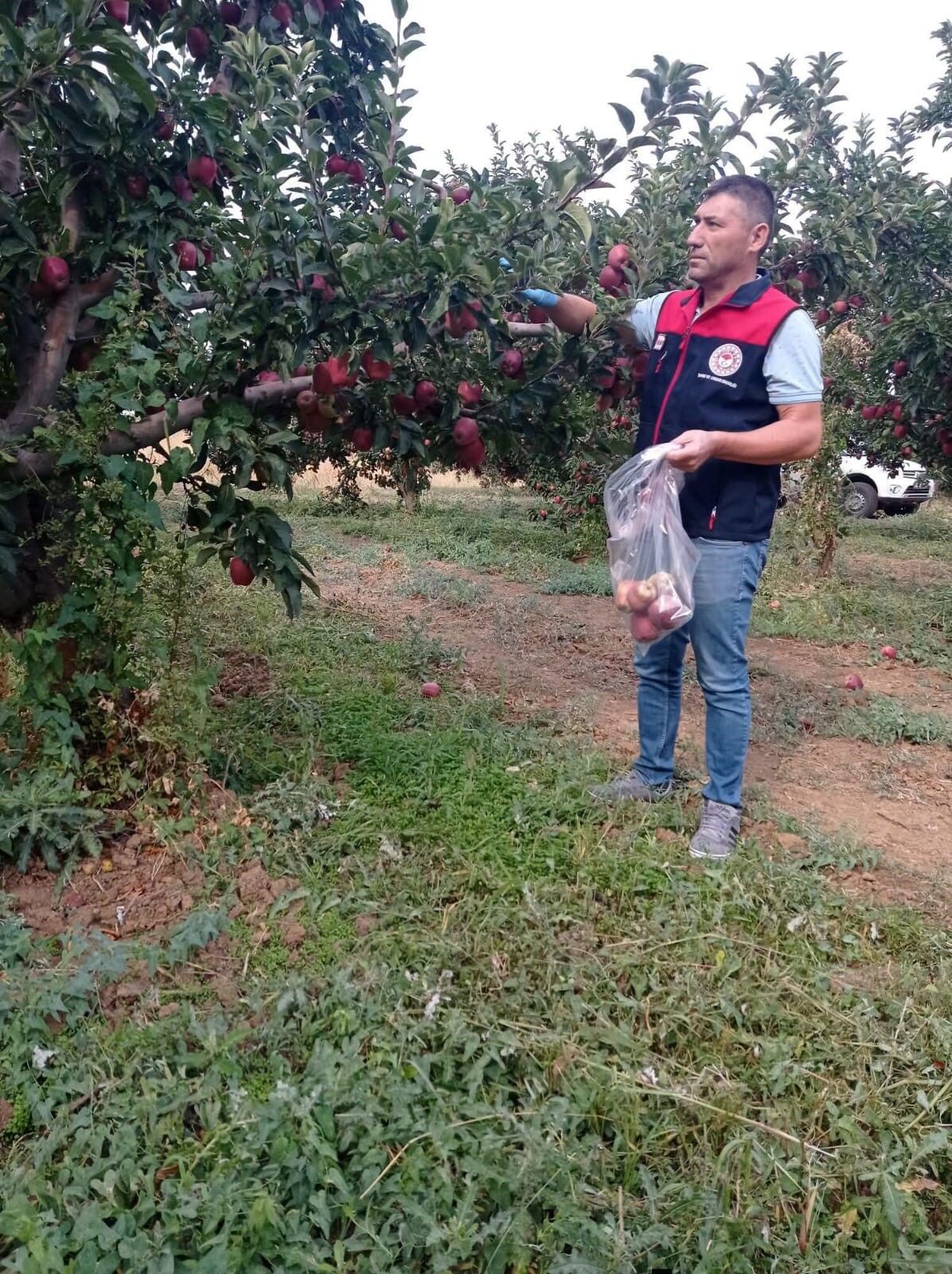 Denizli Haber Elmahasadı (2)
