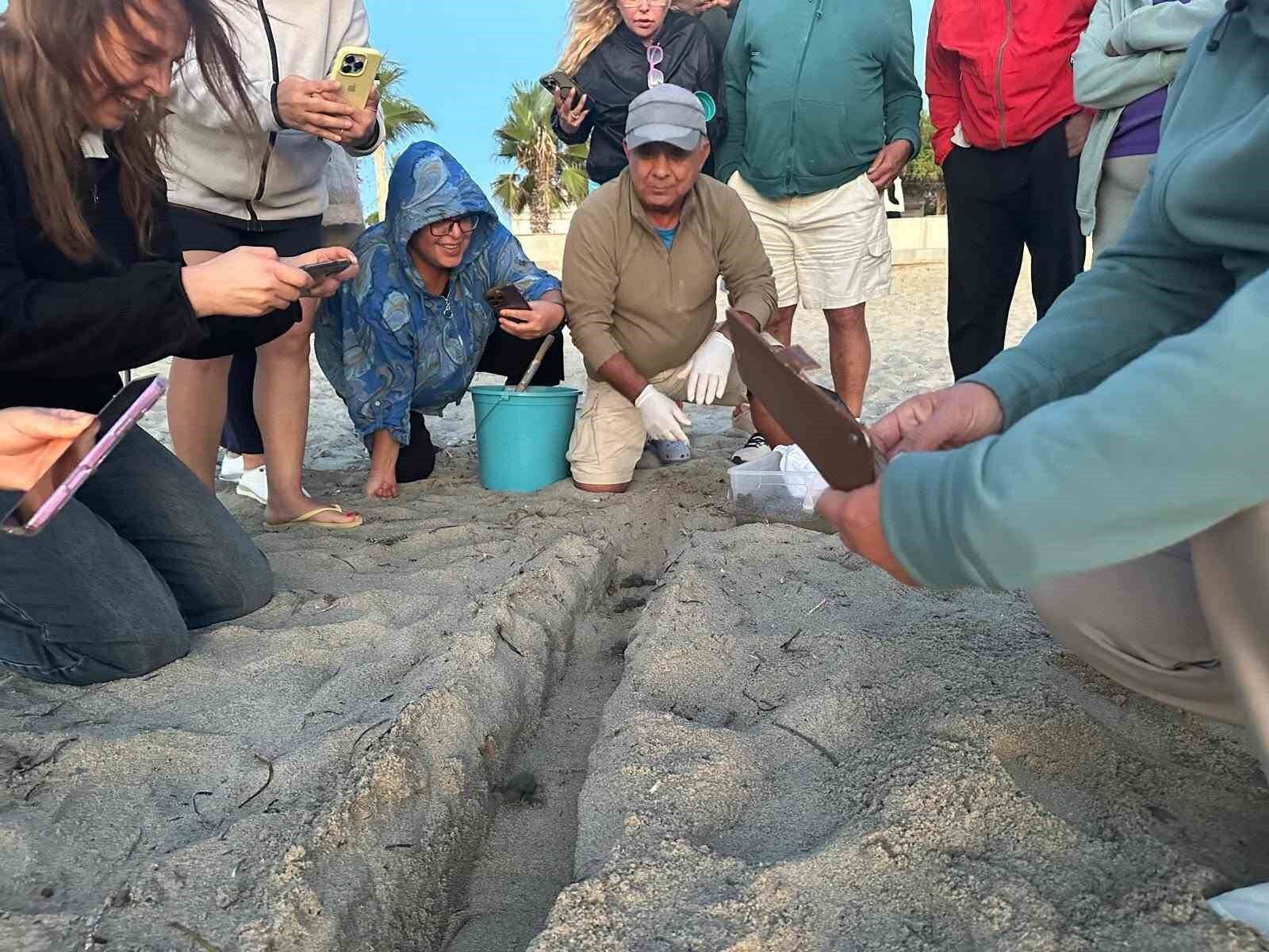 Denizli Haber Kaplumbağa