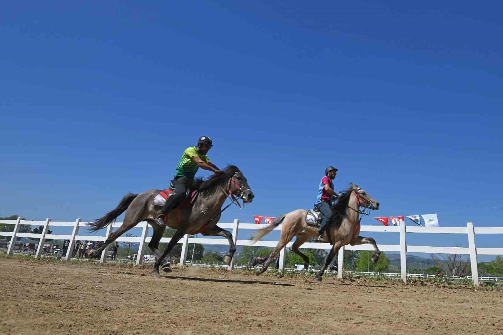 Denizli Haber Rahvan At Yarışlı