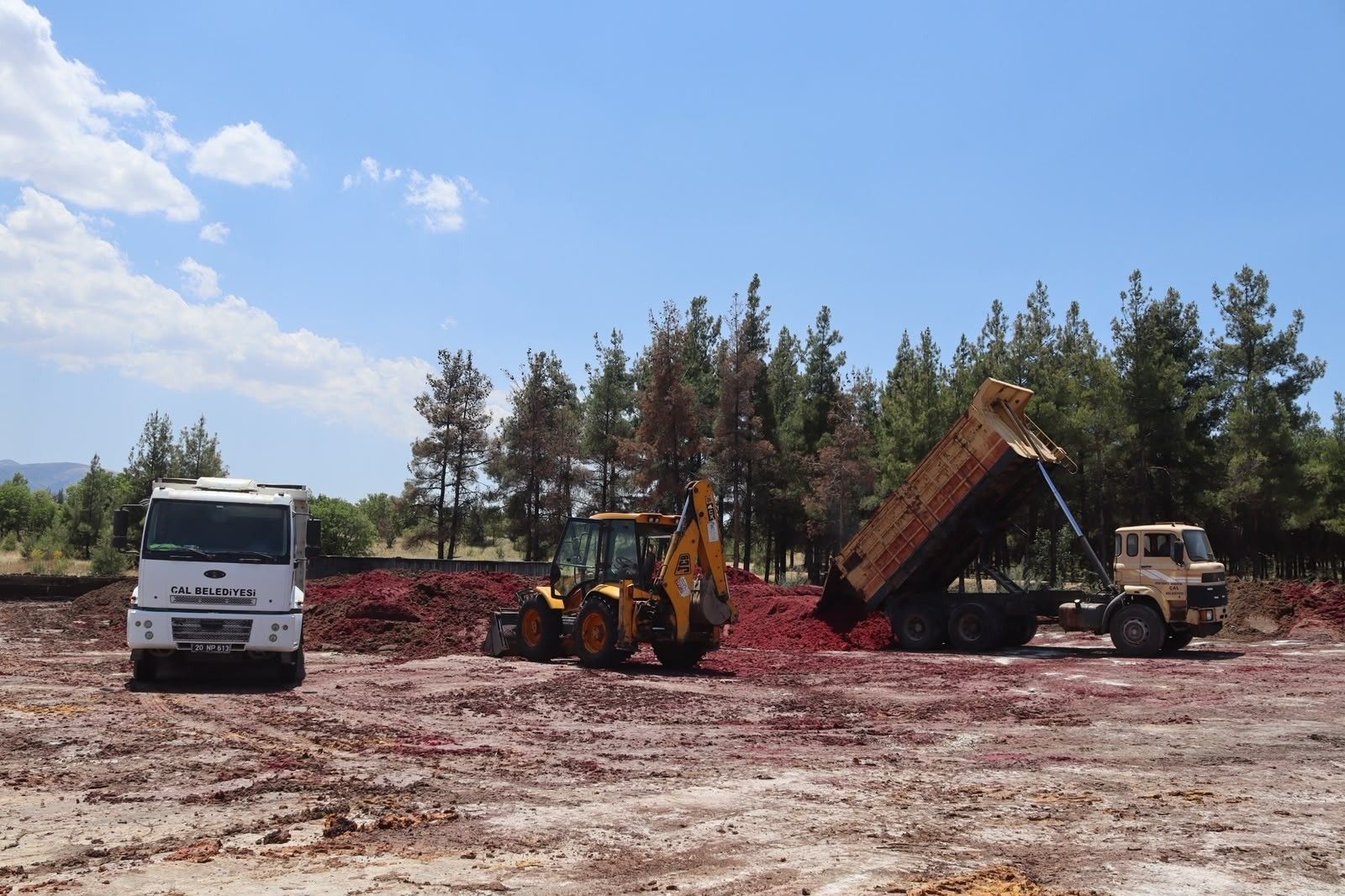 Denizli Haber Çalpancarküspesi (2)