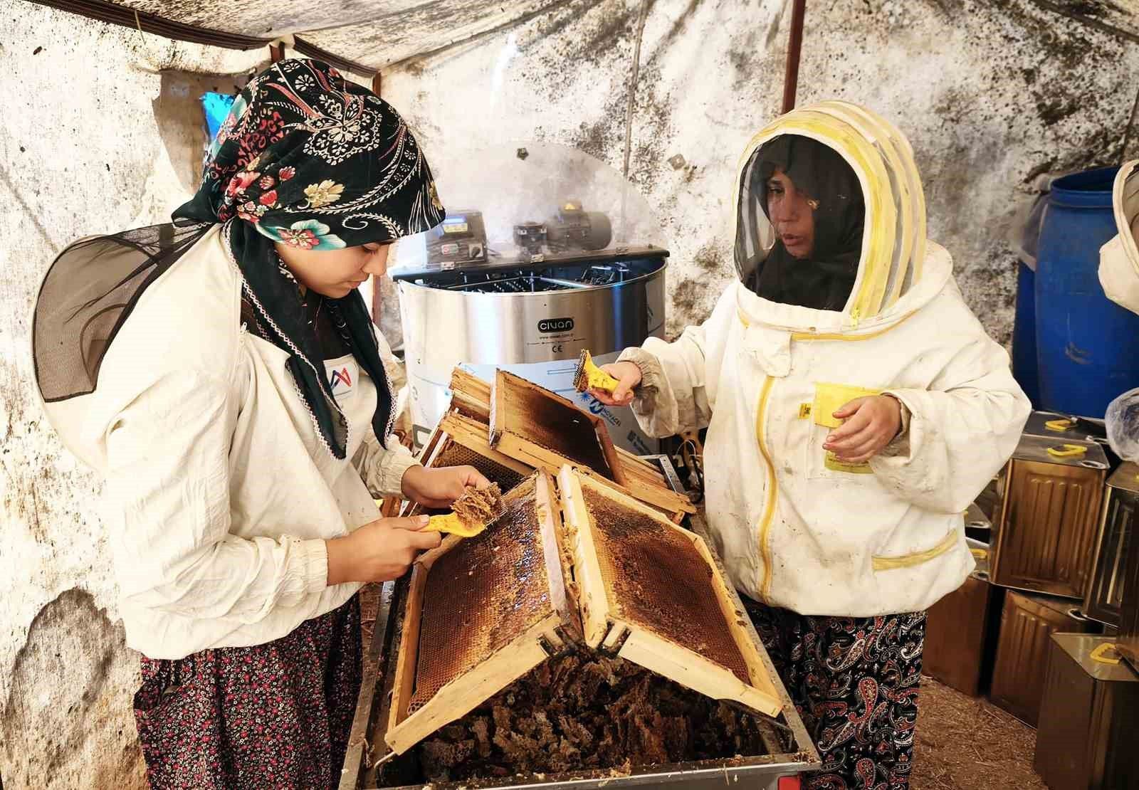 Denizli Haber Çambalı