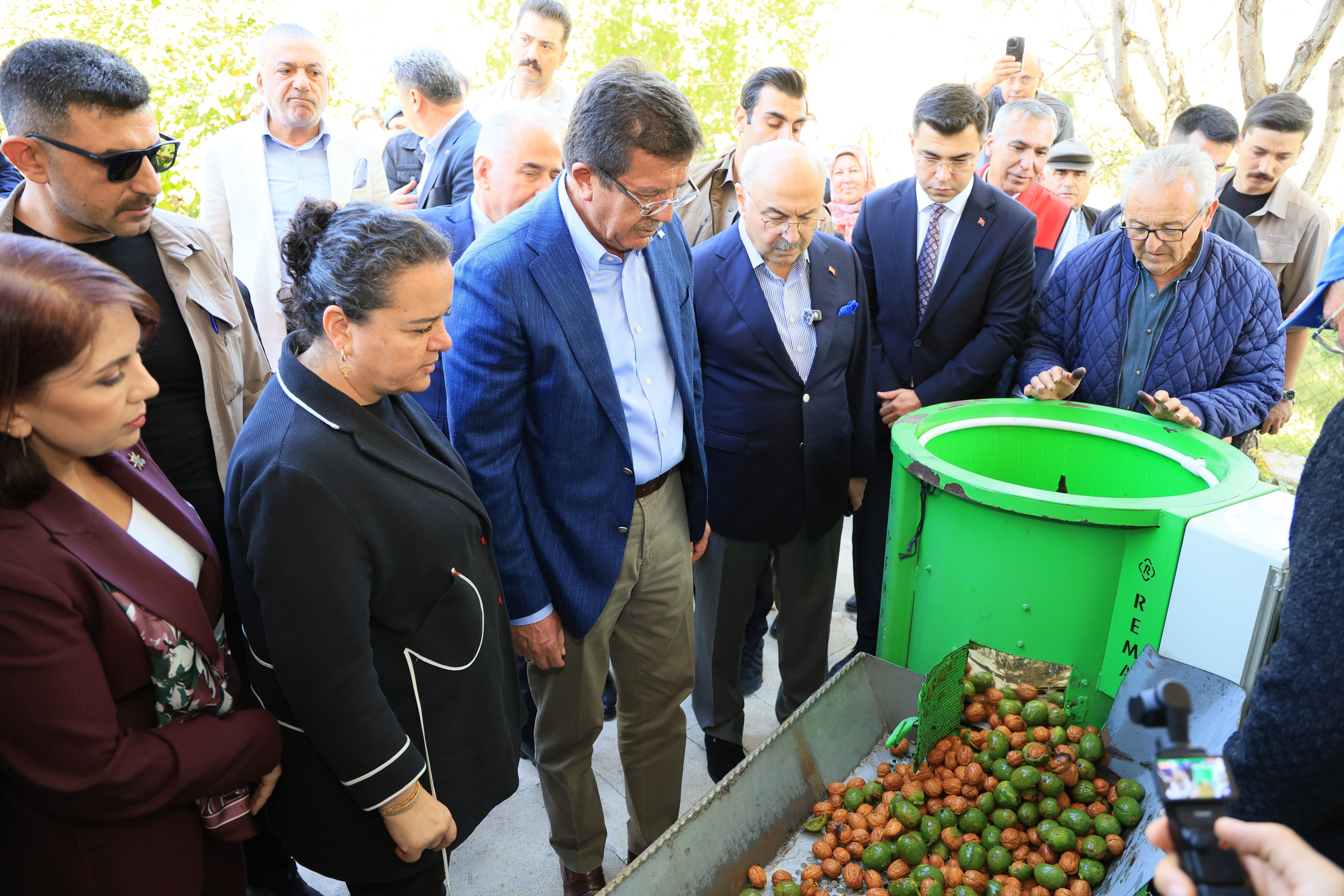 Denizli Haber Çamelihasat (3)