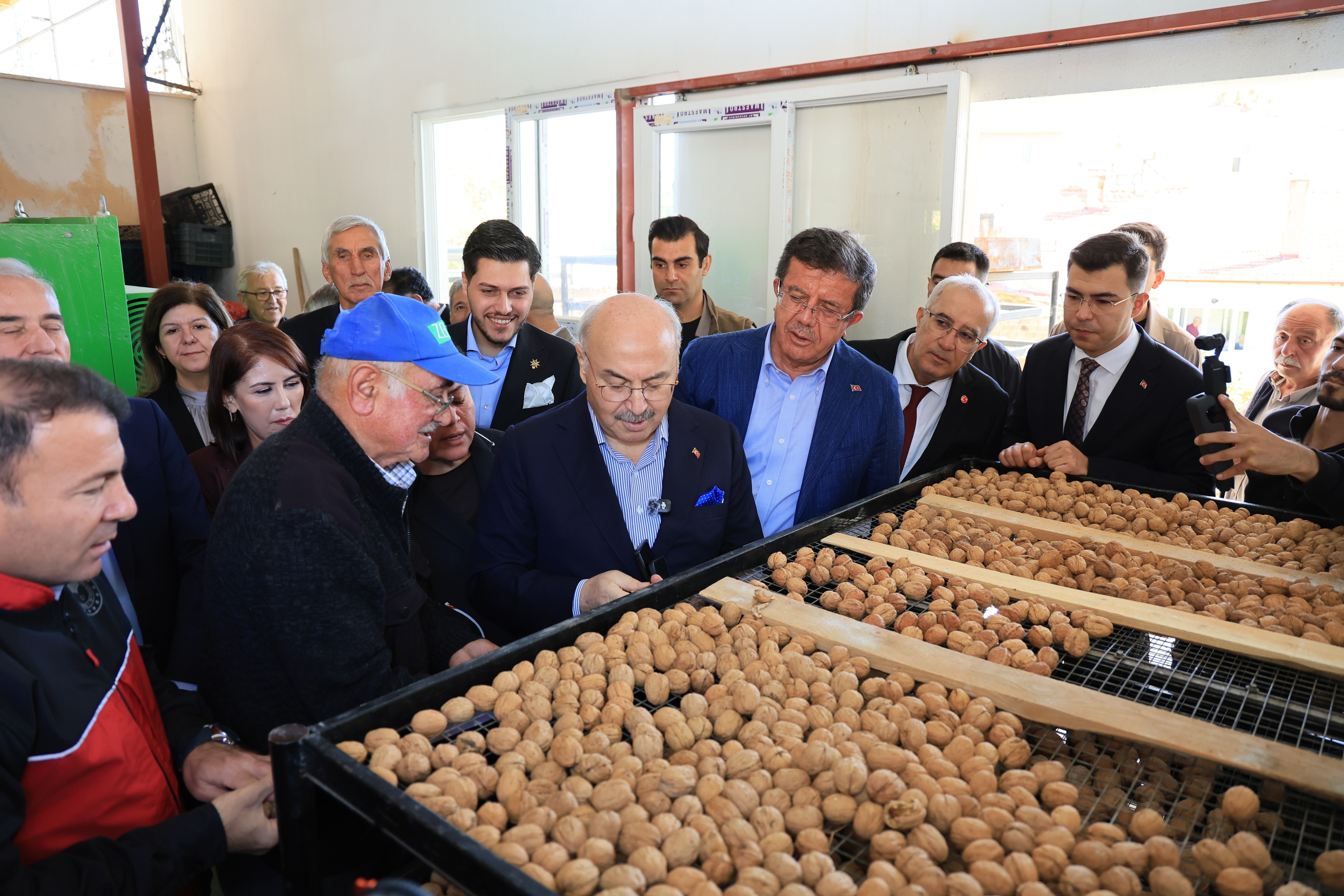 Denizli Haber Çamelihasat (4)