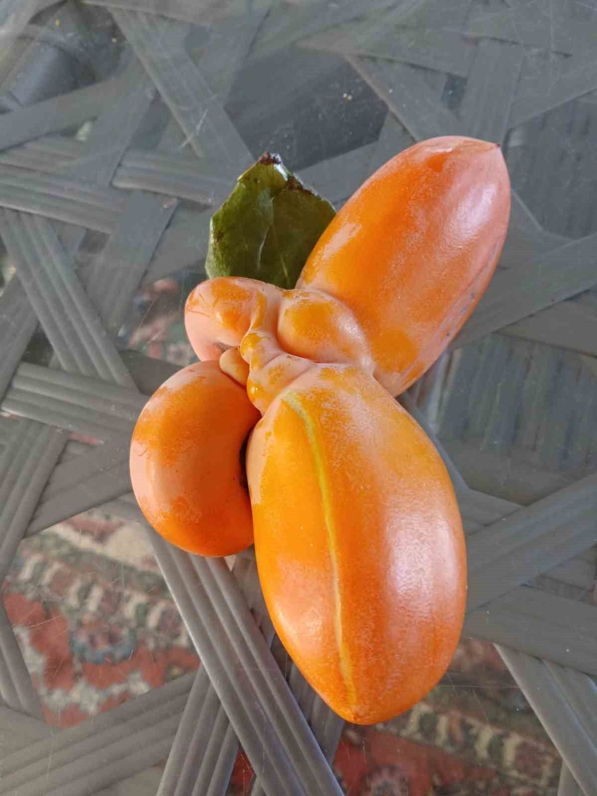Denizli Haber Cennethurması
