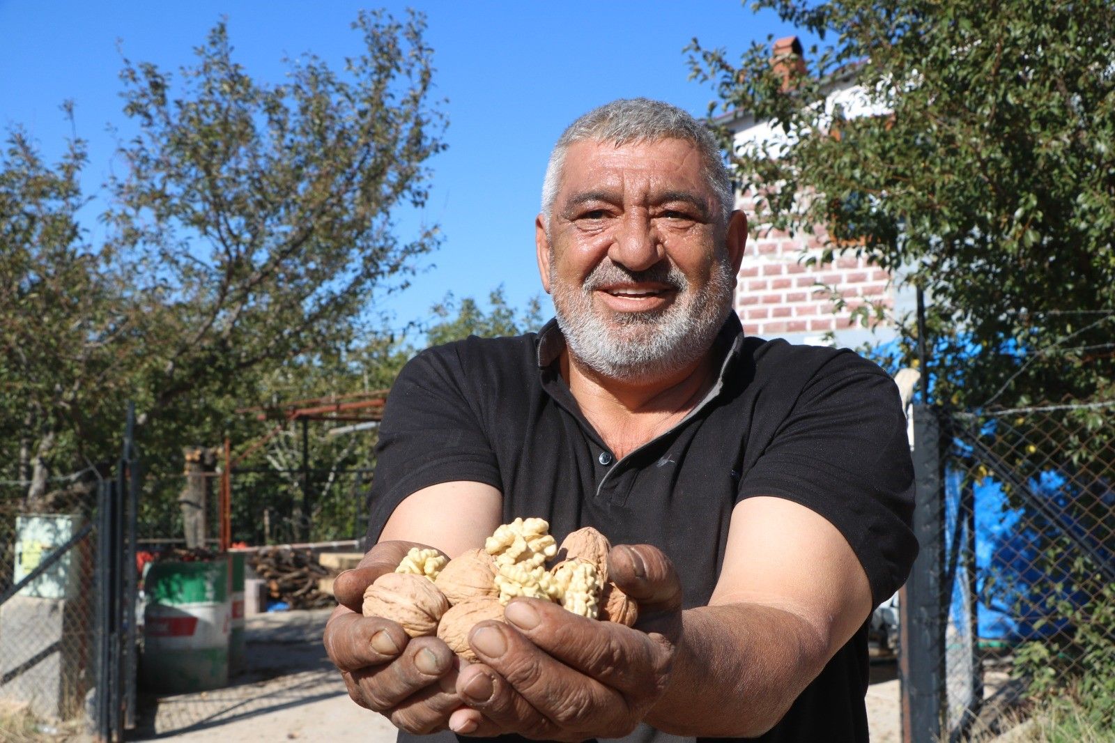 Denizli Haber Ceviz-3