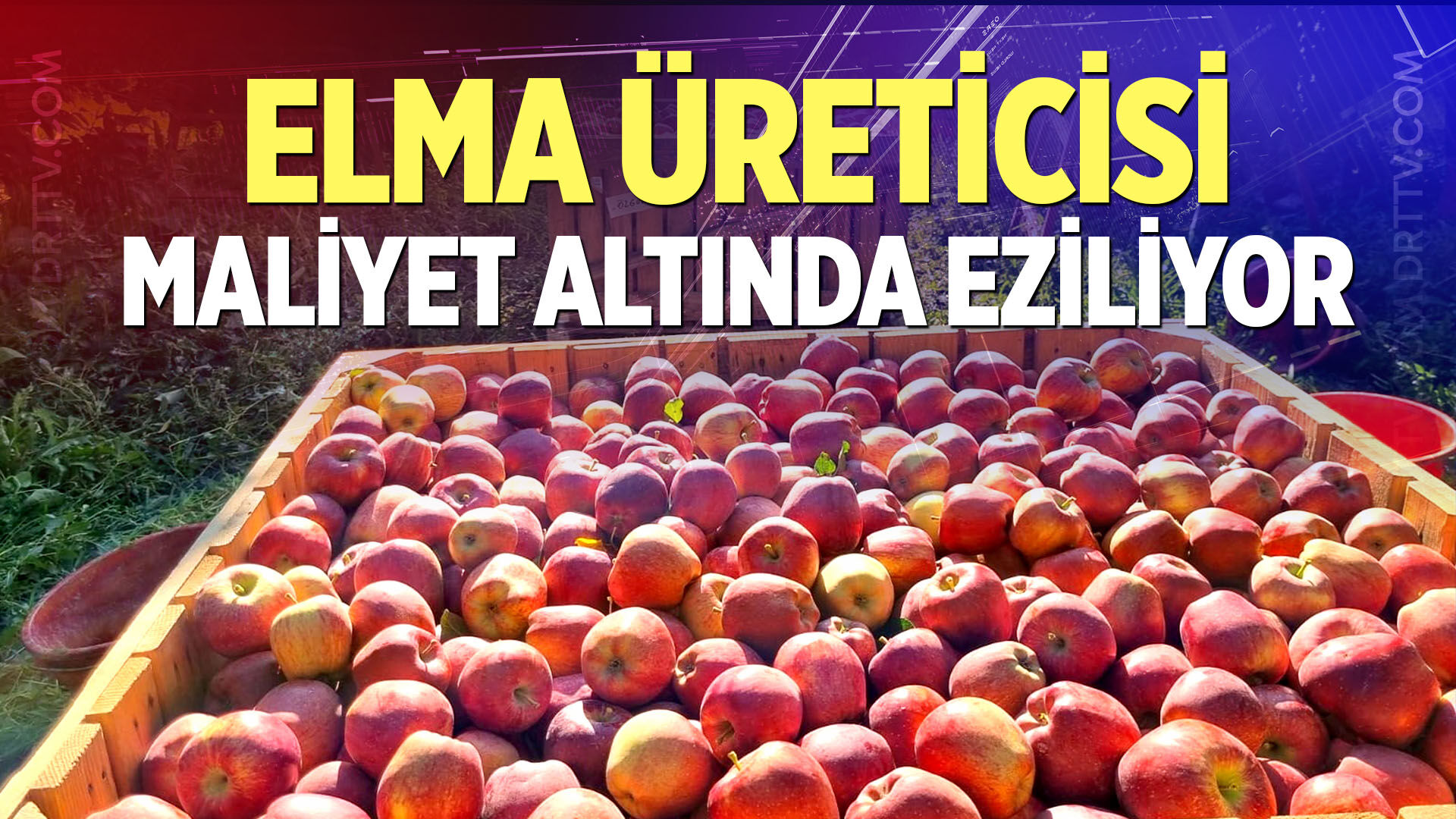Elma Üreticisi Maliyet Altında Eziliyor