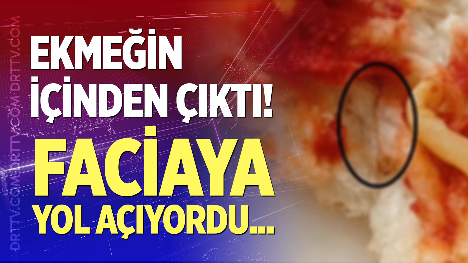 Ekmeğin içinden öyle bir şey çıktı ki!