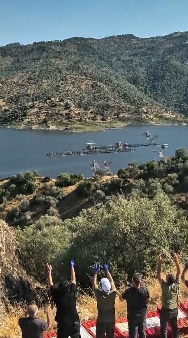 Denizli Haber Kekliksalımı (1)