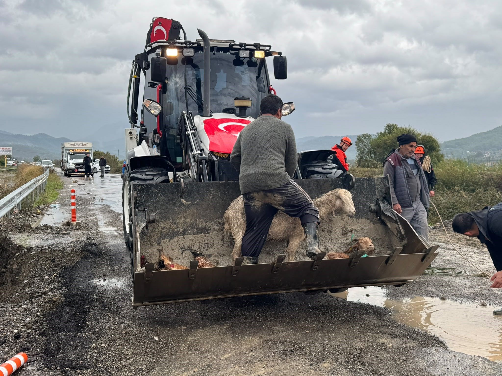 Denizli Haber Muğla Sele Teslim Oldu (1)