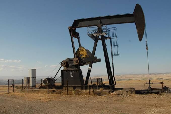 Denizli Haber Petrol-17