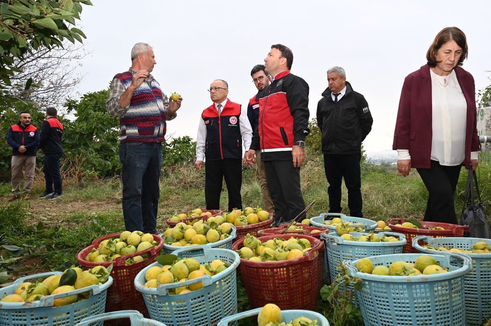Denizli Haber Trabzonhurması2 (2)
